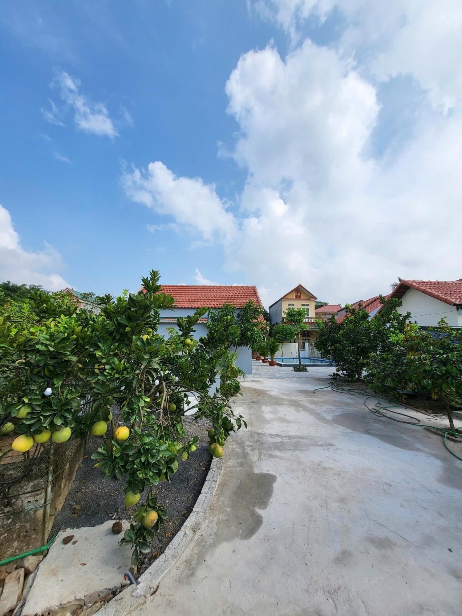 Tam Coc Pomelo Garden Apartment นิญบิ่ญ ภายนอก รูปภาพ