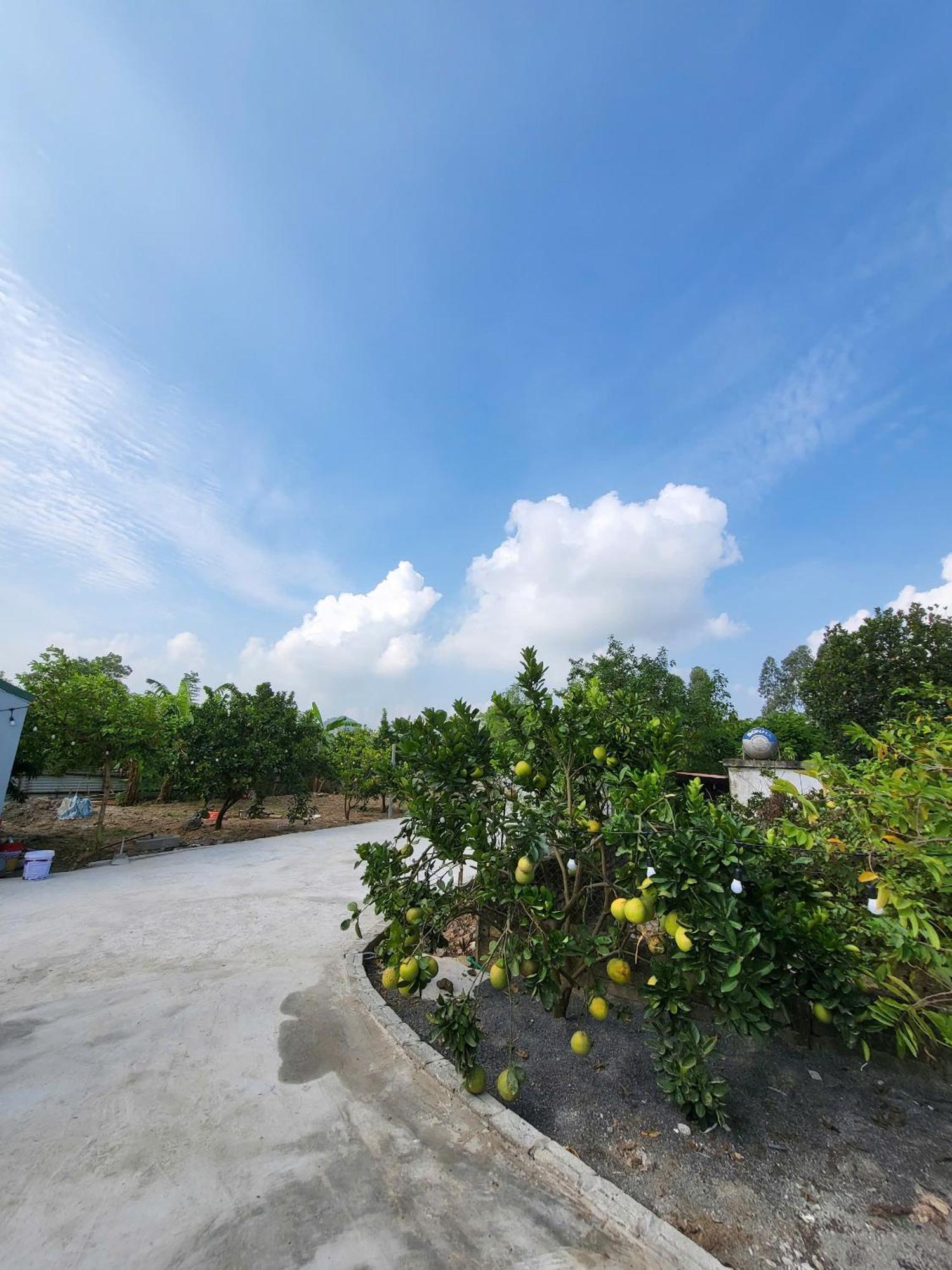 Tam Coc Pomelo Garden Apartment นิญบิ่ญ ภายนอก รูปภาพ
