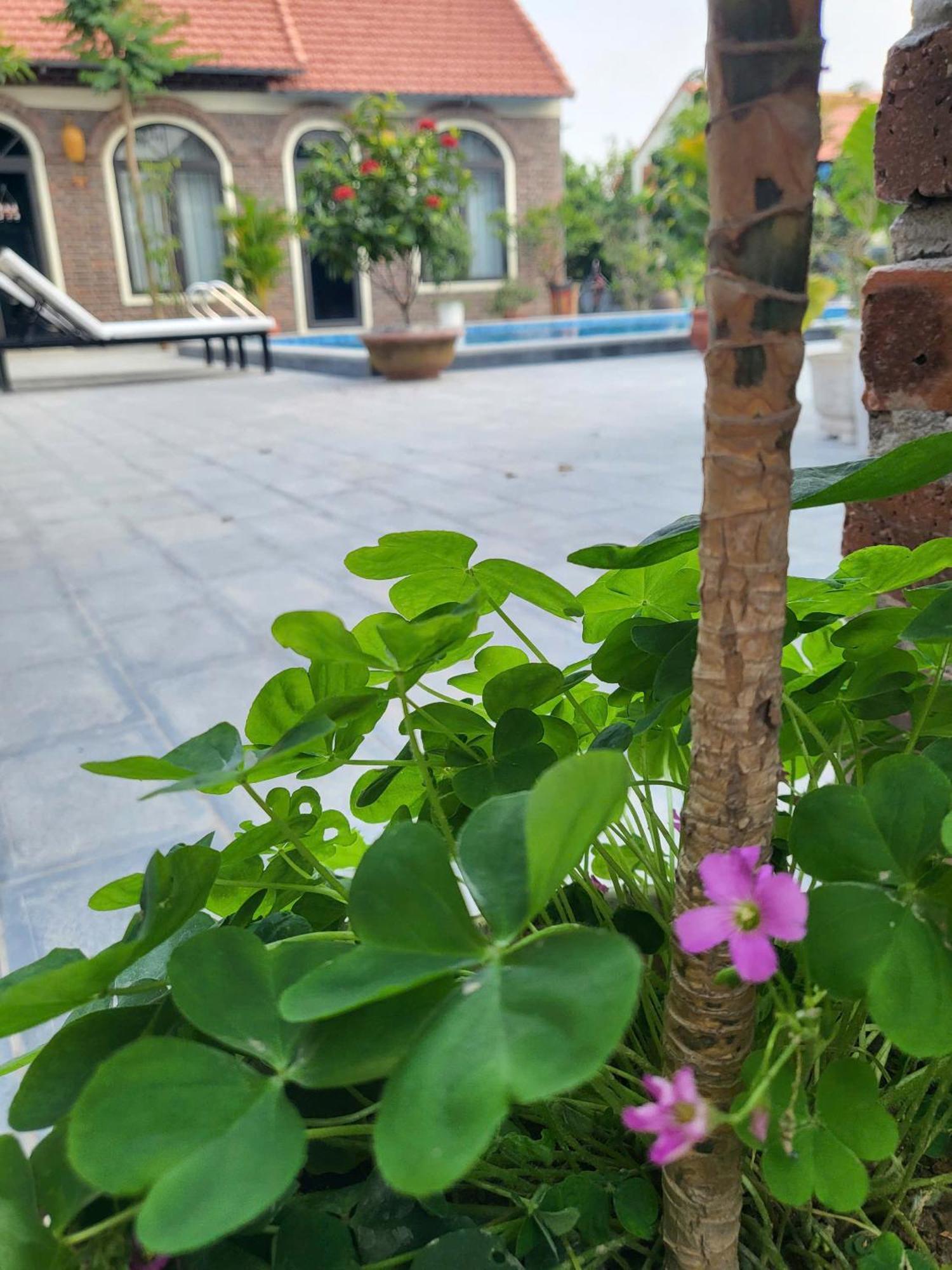 Tam Coc Pomelo Garden Apartment นิญบิ่ญ ภายนอก รูปภาพ